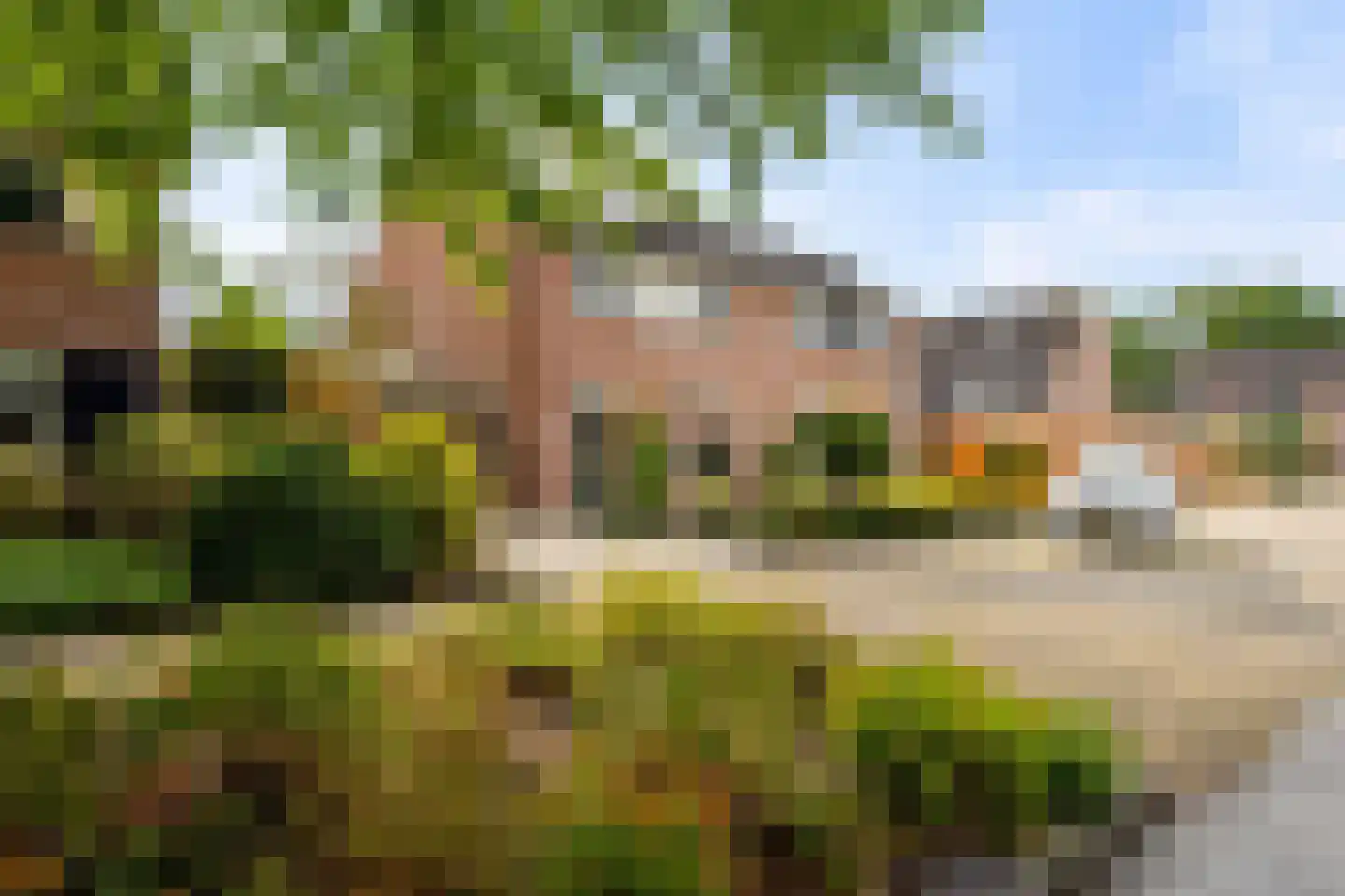 Scholten-Hofmansbrink 3 Eibergen thumbnail 53