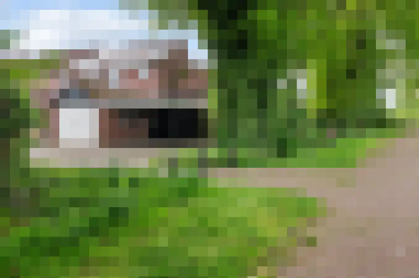 Scholten-Hofmansbrink 47 Eibergen thumbnail 6