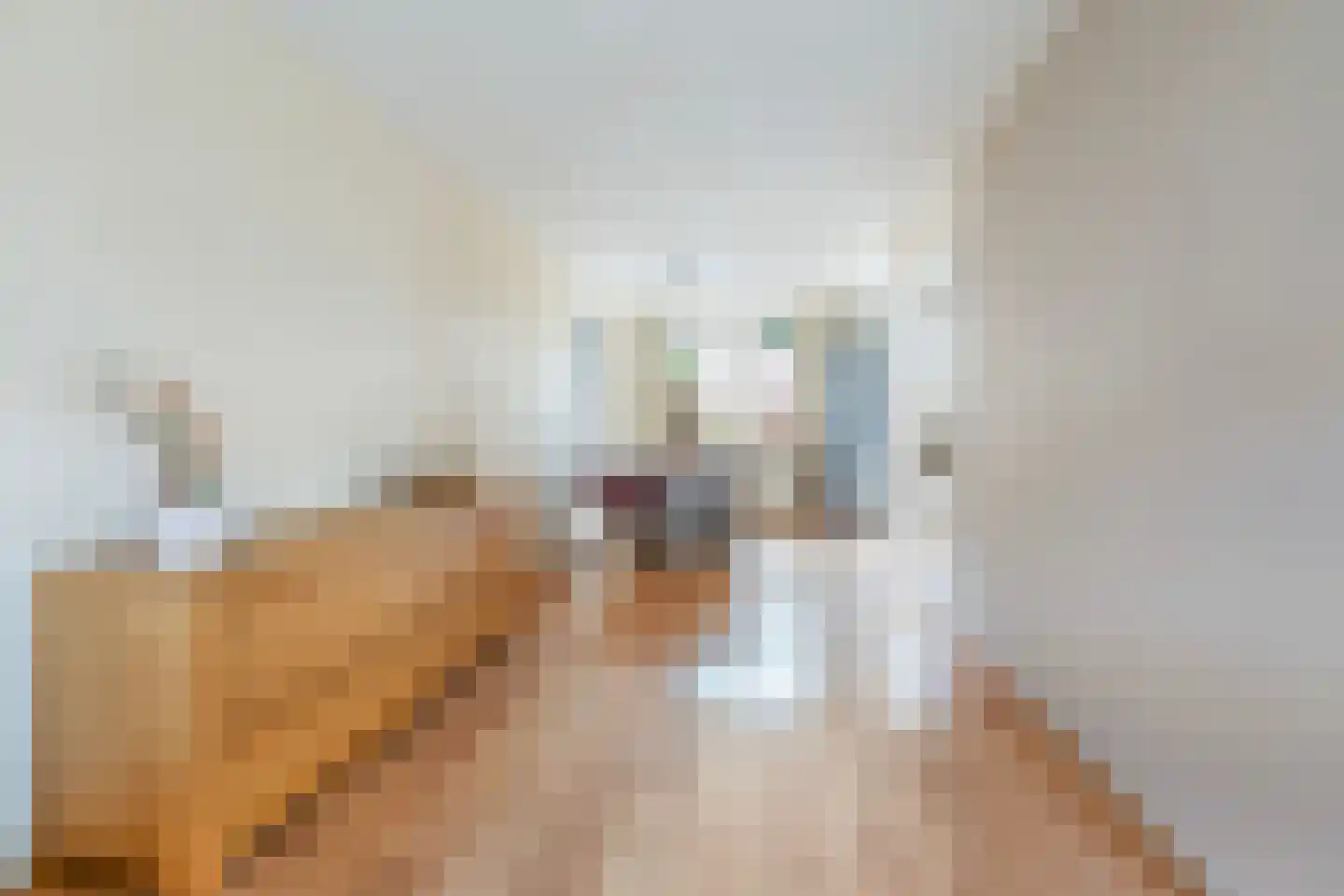Scholten-Hofmansbrink 9 Eibergen thumbnail 13