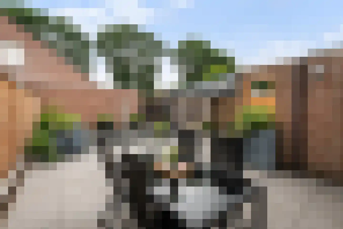 Scholten-Hofmansbrink 9 Eibergen thumbnail 36