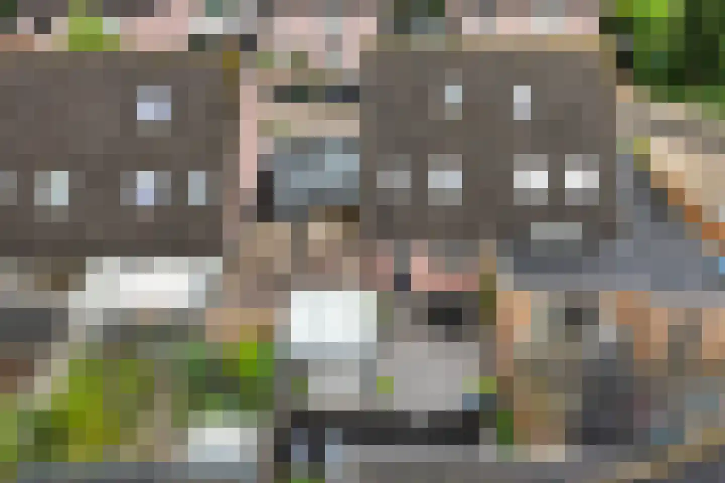 Scholten-Hofmansbrink 9 Eibergen thumbnail 38