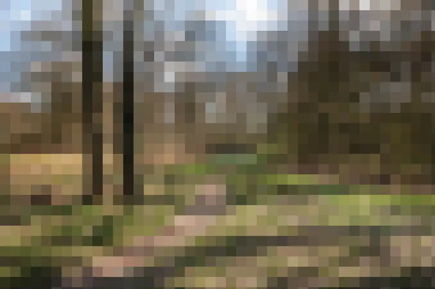 Scholten-Hofmansbrink 9 Eibergen thumbnail 45