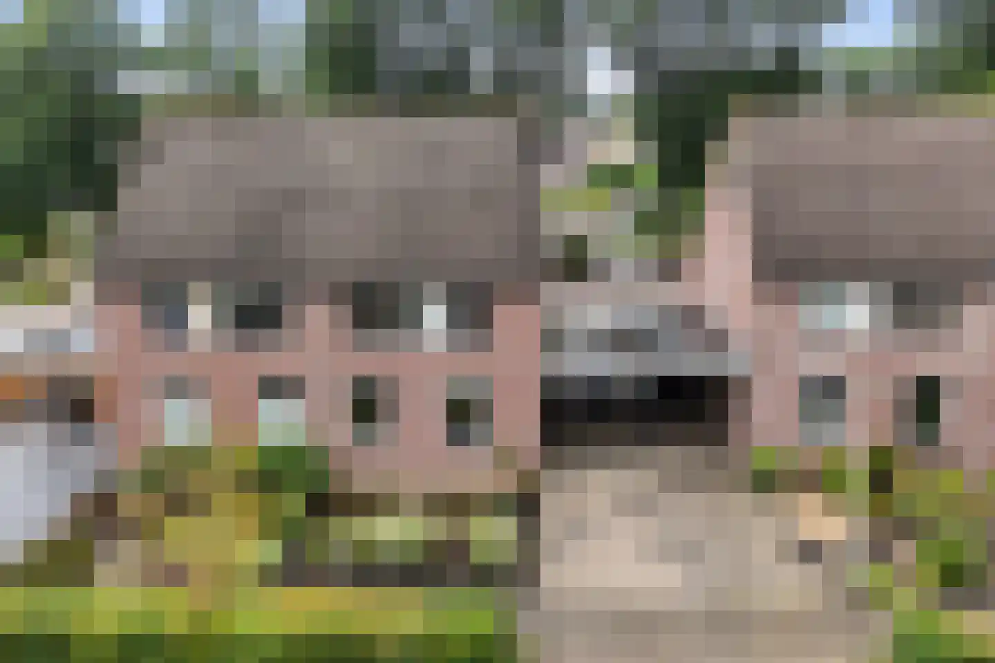 Scholten-Hofmansbrink 9 Eibergen thumbnail 7