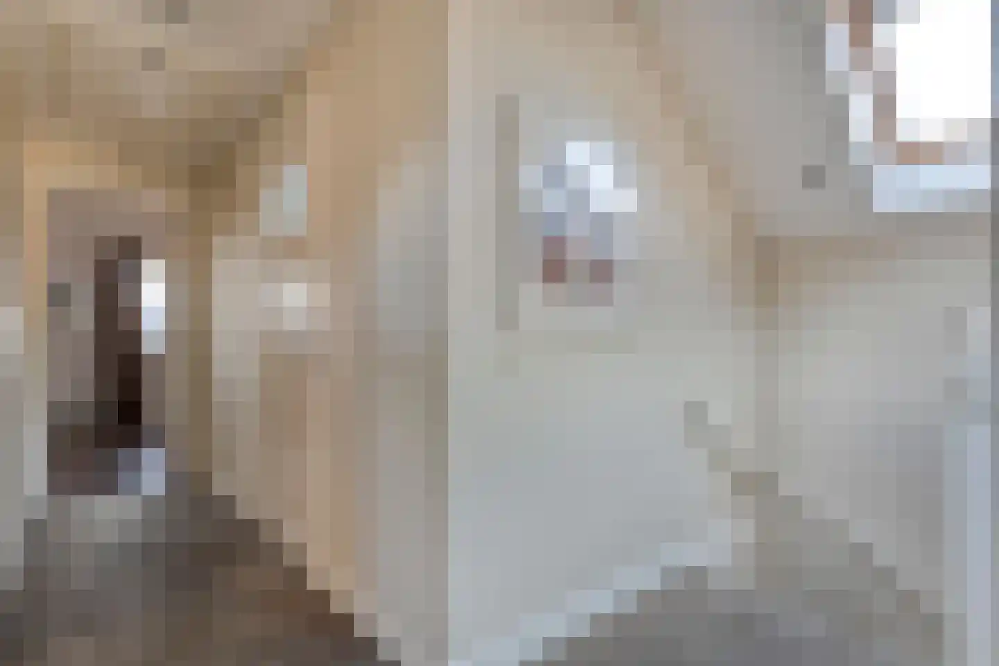 Scholtenbrink 13 Fleringen thumbnail 14