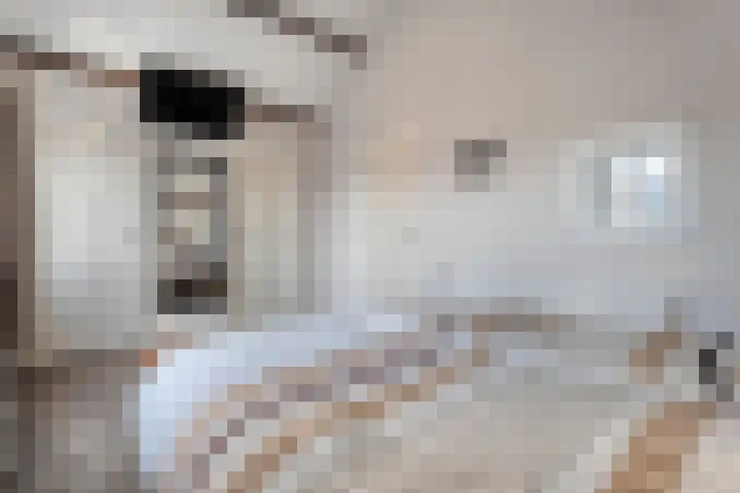Scholtenbrink 13 Fleringen thumbnail 20