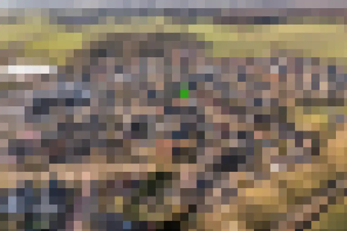 Scholtenbrink 13 Fleringen thumbnail 27