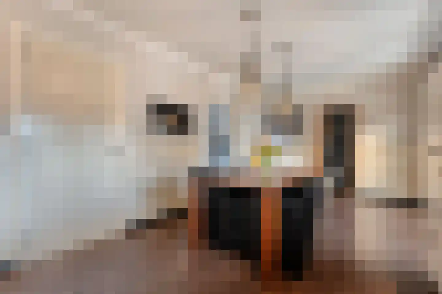 Scholtenbrink 13 Fleringen thumbnail 8