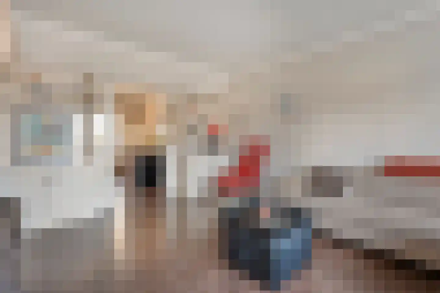 Scholtenbrink 13 Fleringen thumbnail 9