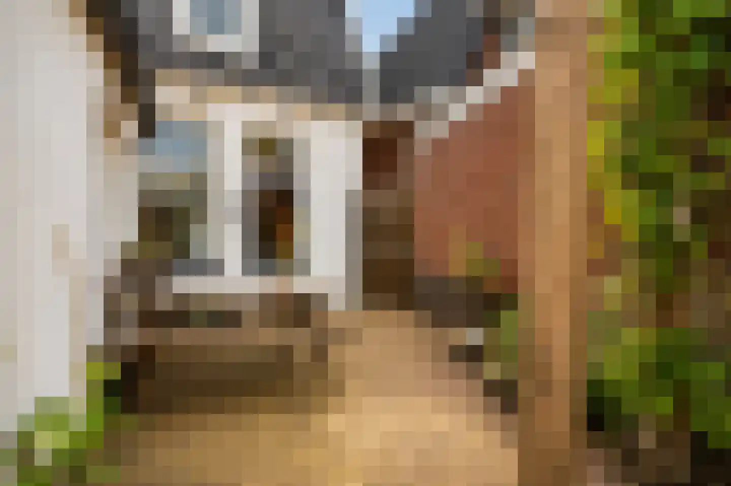 Scholtendijk 30 Oldenzaal thumbnail 20