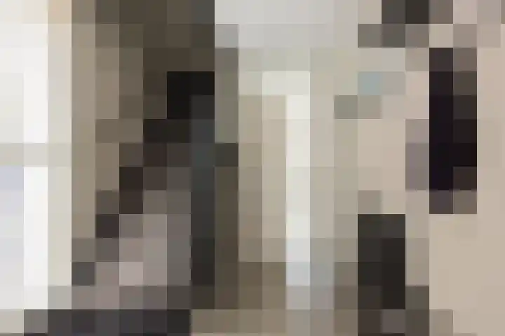 Scholtendreef 18 Bergschenhoek thumbnail 10