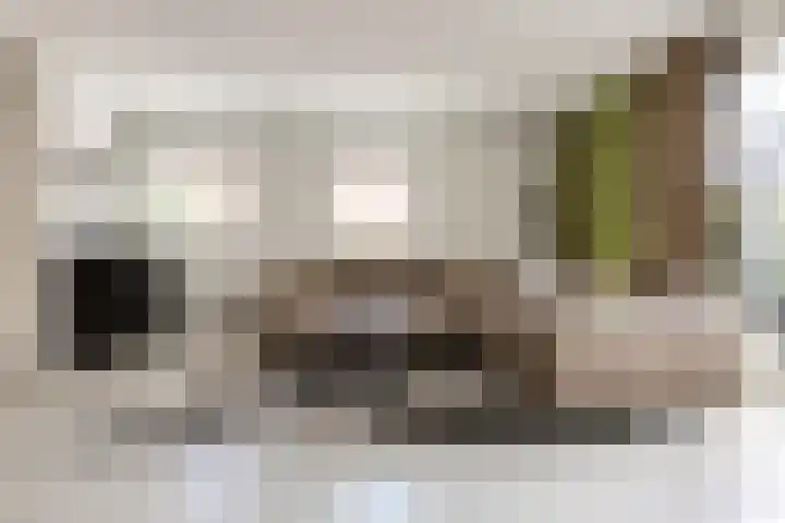 Scholtendreef 18 Bergschenhoek thumbnail 12
