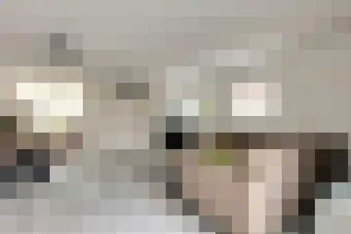 Scholtendreef 18 Bergschenhoek thumbnail 14