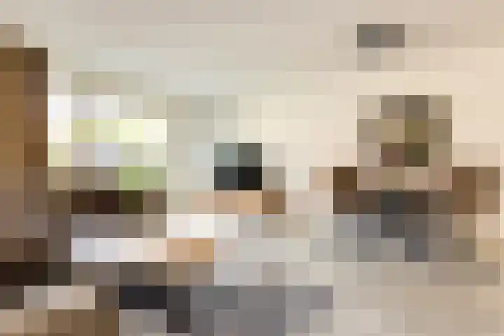 Scholtendreef 18 Bergschenhoek thumbnail 15