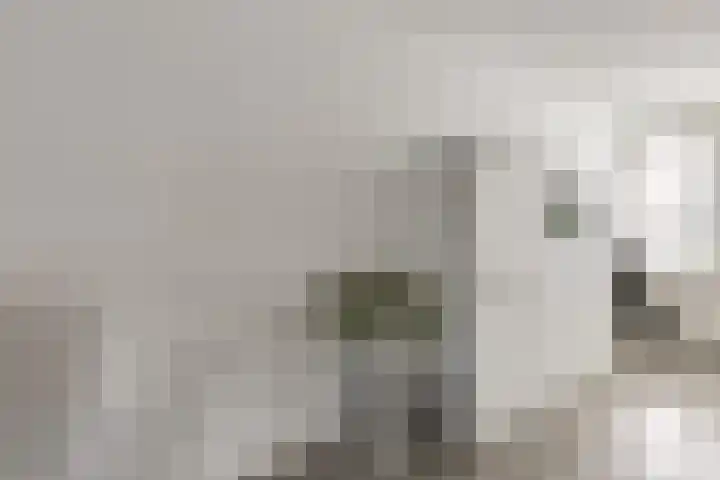Scholtendreef 18 Bergschenhoek thumbnail 18