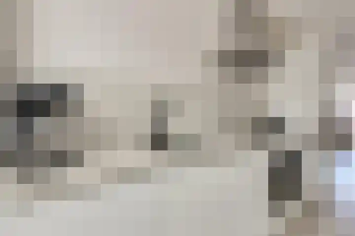 Scholtendreef 18 Bergschenhoek thumbnail 19