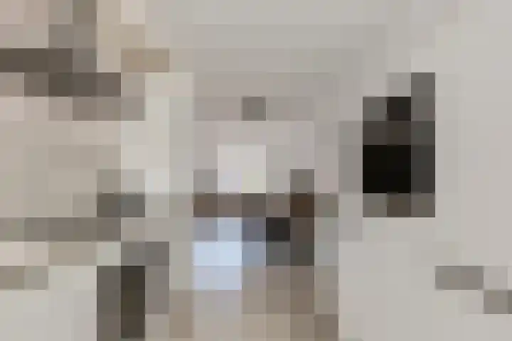 Scholtendreef 18 Bergschenhoek thumbnail 20