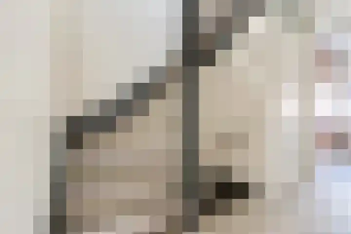 Scholtendreef 18 Bergschenhoek thumbnail 21