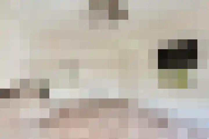 Scholtendreef 18 Bergschenhoek thumbnail 24