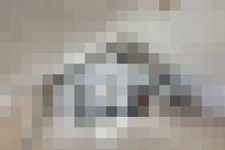 Scholtendreef 18 Bergschenhoek thumbnail 34
