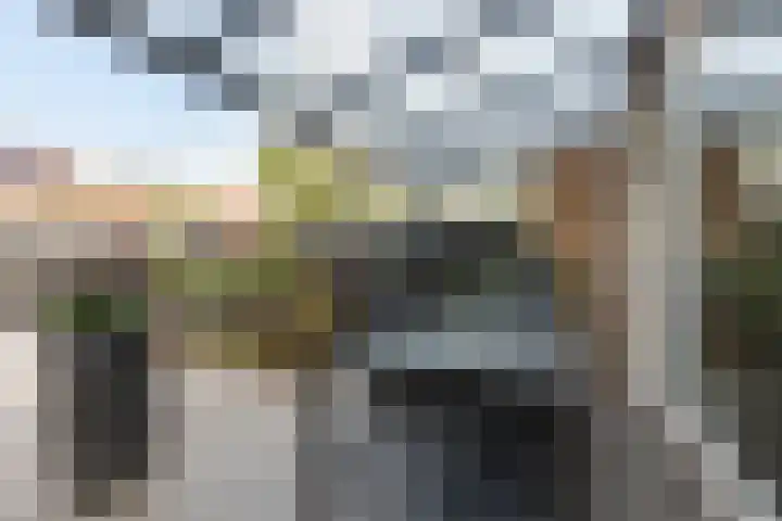Scholtendreef 18 Bergschenhoek thumbnail 36