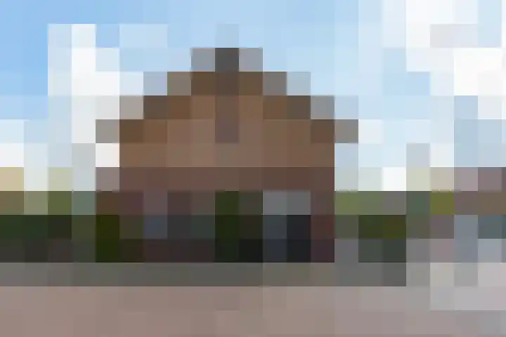 Scholtendreef 18 Bergschenhoek thumbnail 7