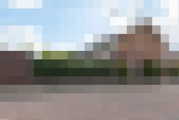 Scholtendreef 18 Bergschenhoek thumbnail 8