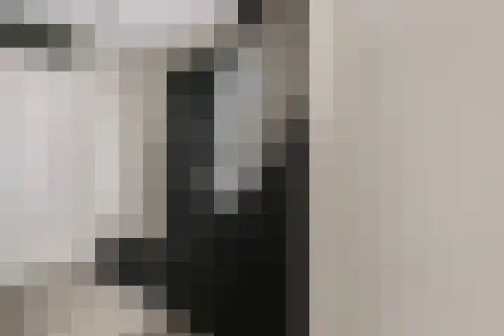 Scholtendreef 18 Bergschenhoek thumbnail 9