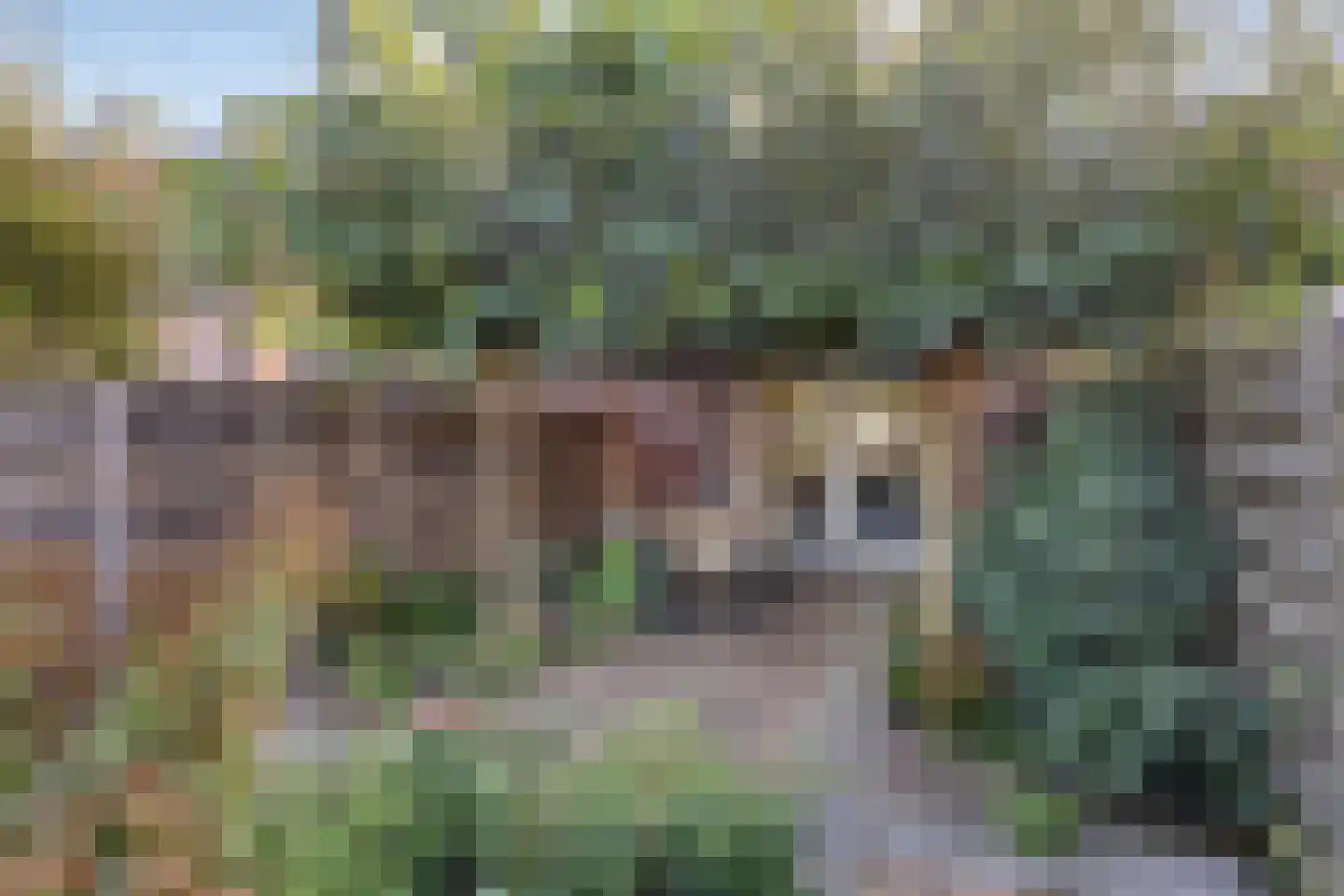Scholtenenk 17 Winterswijk thumbnail 25