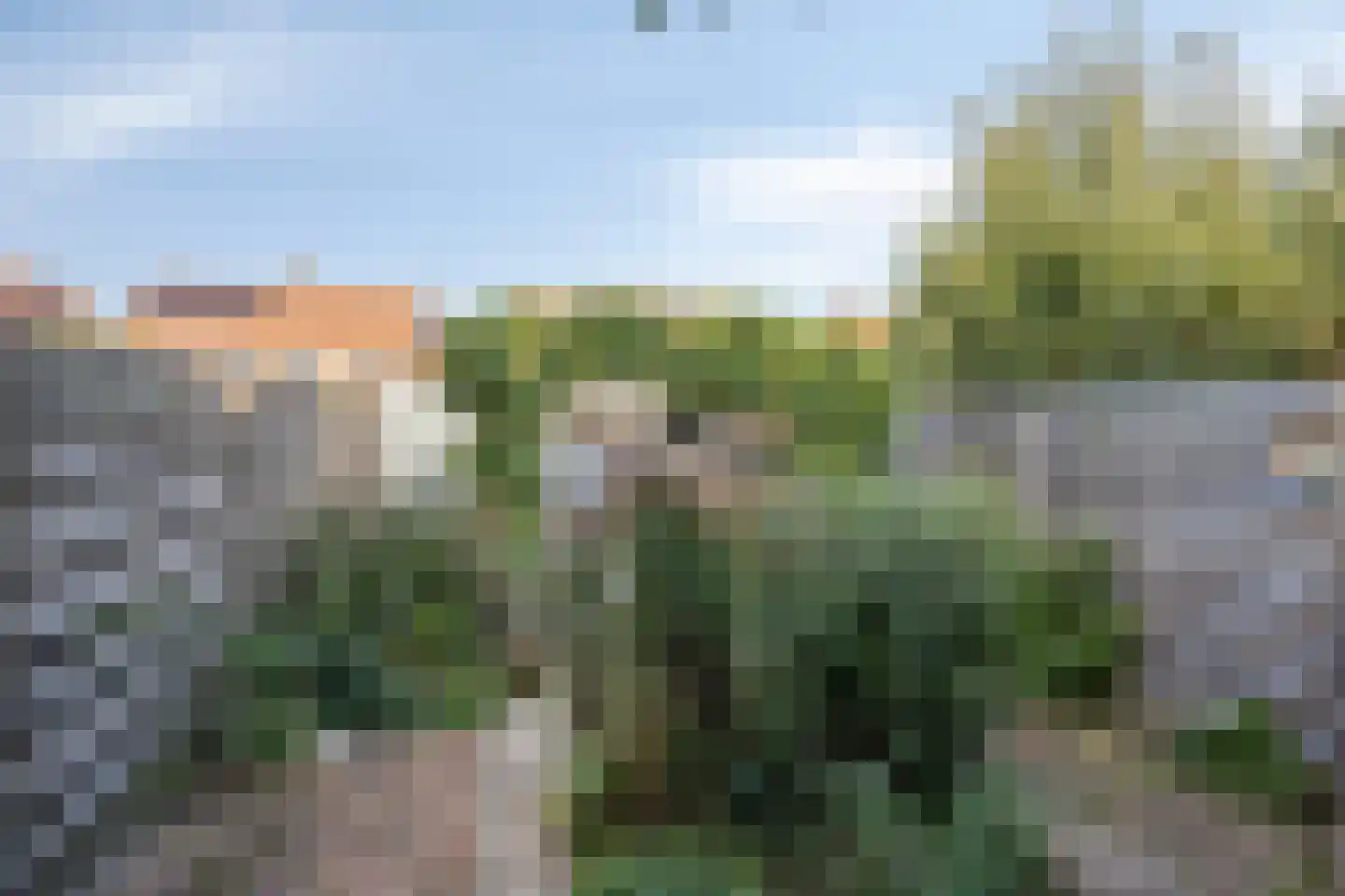 Scholtenenk 17 Winterswijk thumbnail 26