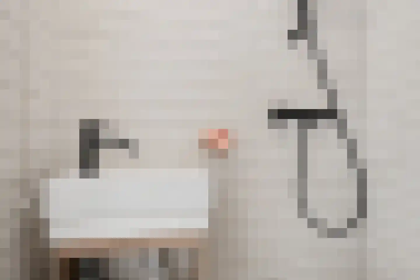 Scholtenenk 44 Winterswijk thumbnail 30