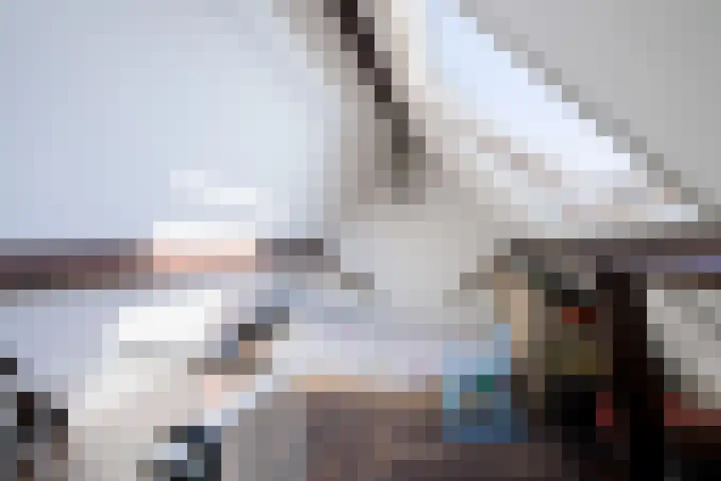 Scholtenenk 44 Winterswijk thumbnail 31