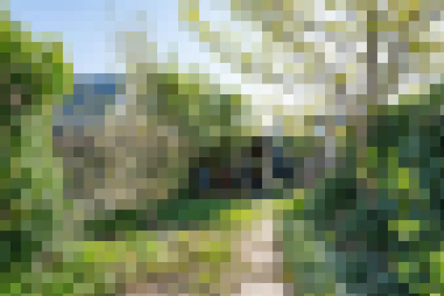 Scholtenenk 44 Winterswijk thumbnail 35