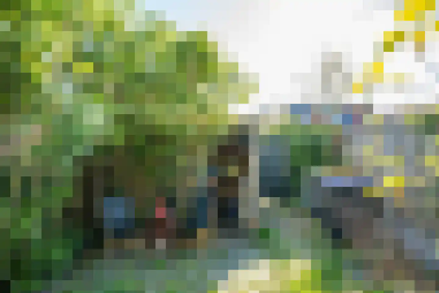 Scholtenenk 44 Winterswijk thumbnail 36