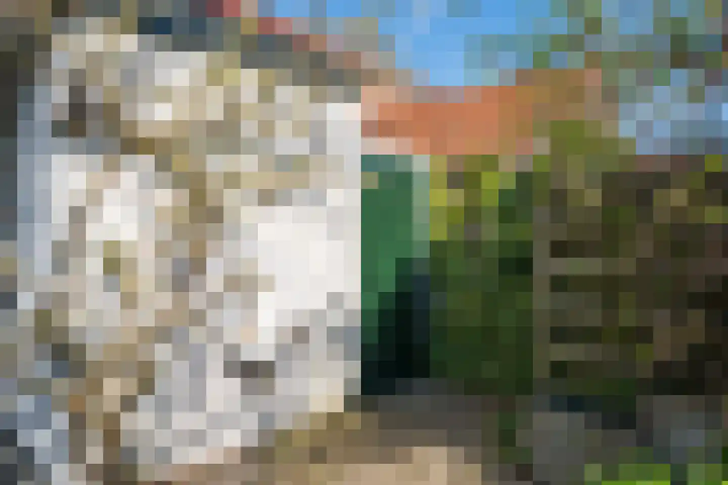 Scholtenenk 44 Winterswijk thumbnail 38