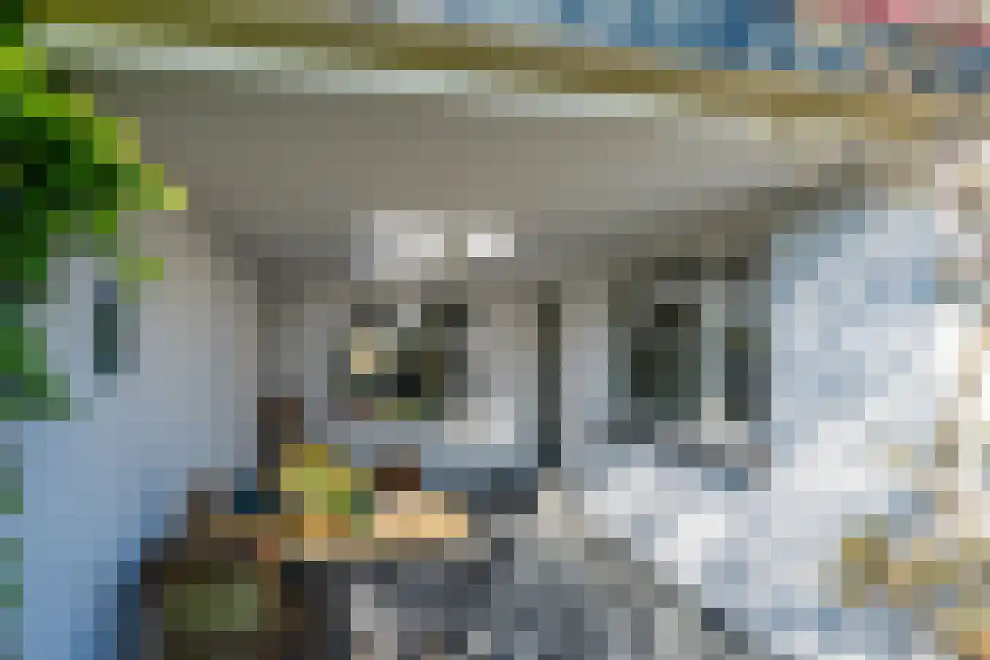 Scholtenenk 44 Winterswijk thumbnail 5