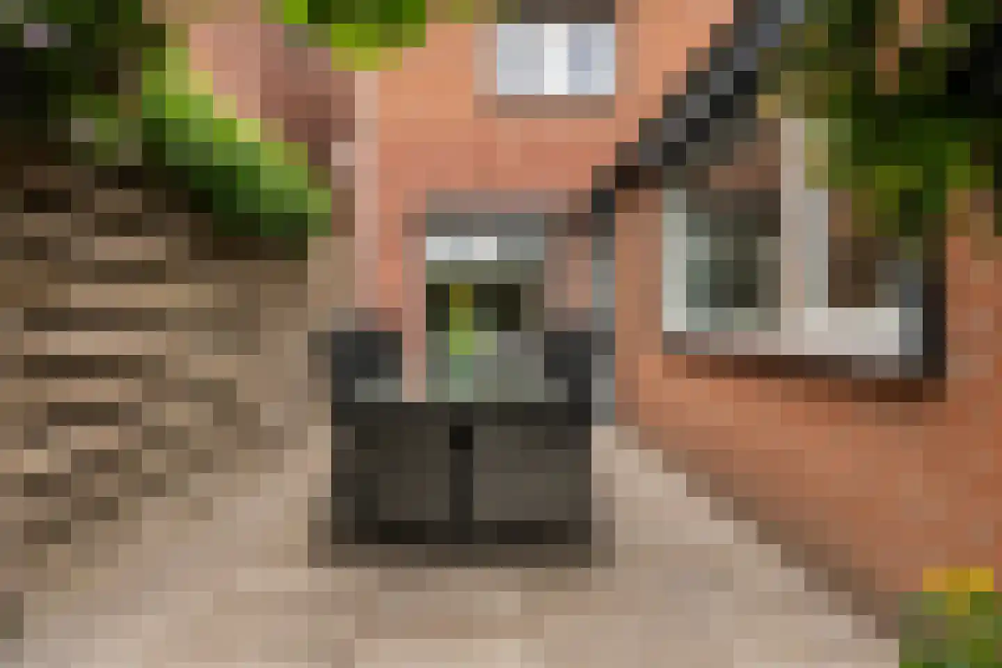 Scholtenenk 46 Winterswijk thumbnail 11