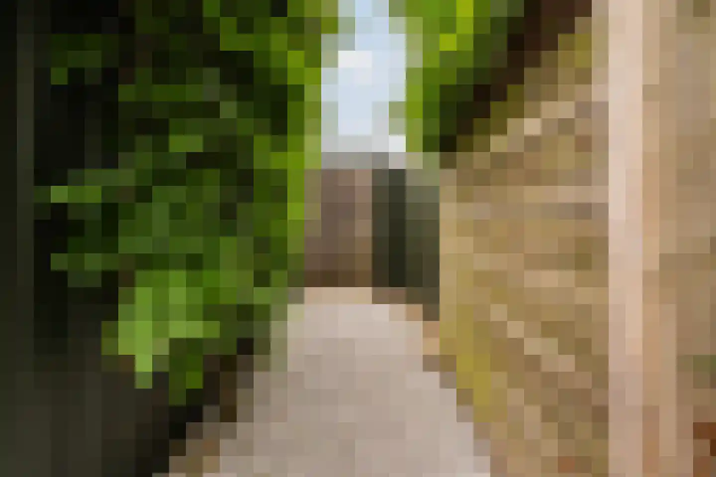 Scholtenenk 46 Winterswijk thumbnail 13