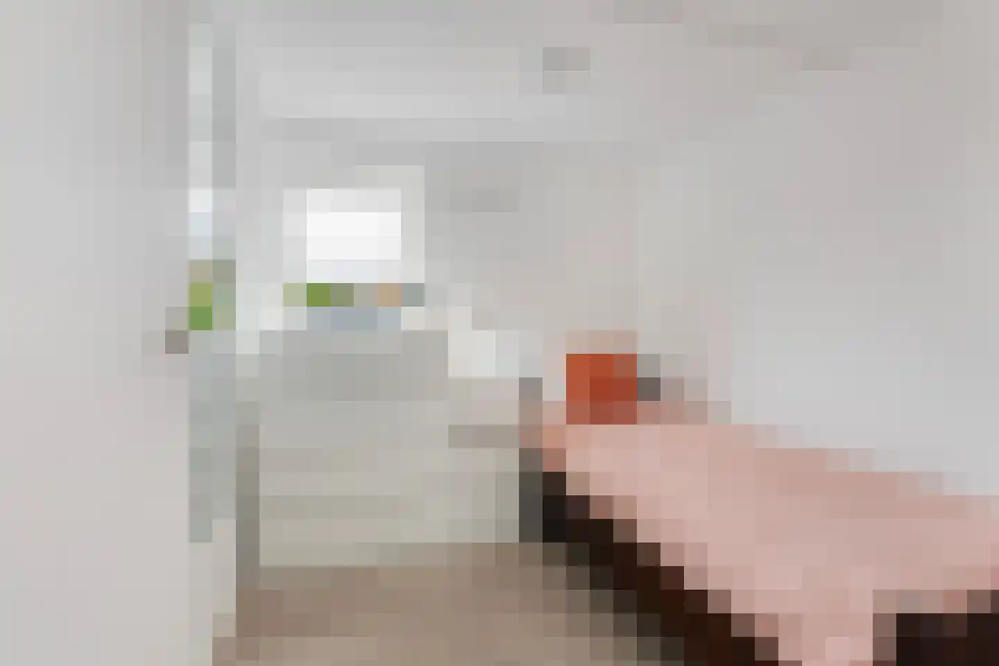 Scholtenenk 46 Winterswijk thumbnail 17