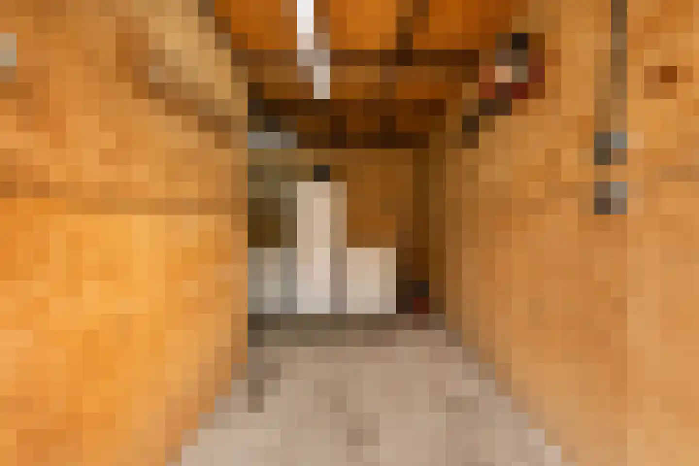 Scholtenenk 46 Winterswijk thumbnail 21