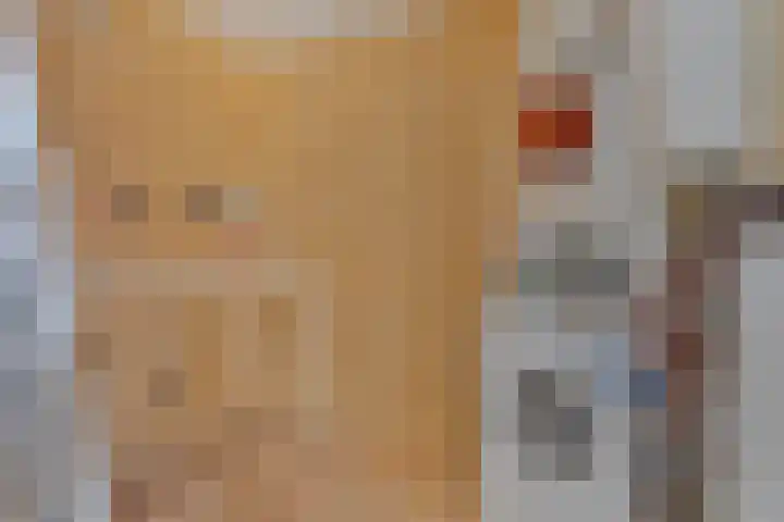Scholtenenk 66 Winterswijk thumbnail 17