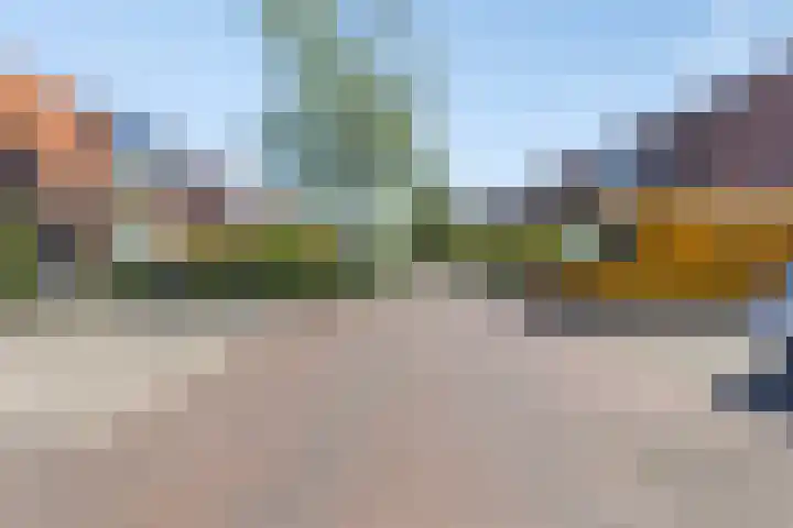 Scholtenenk 66 Winterswijk thumbnail 19