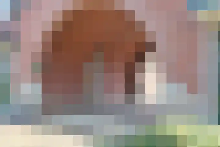 Scholtenenk 66 Winterswijk thumbnail 4