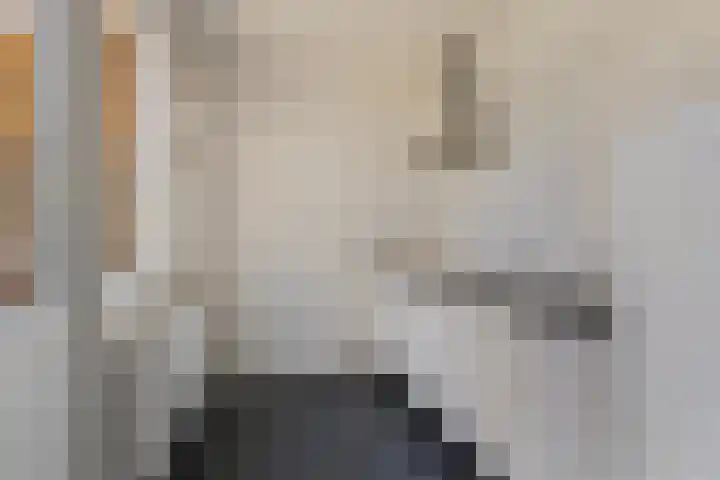 Scholtenenk 66 Winterswijk thumbnail 8