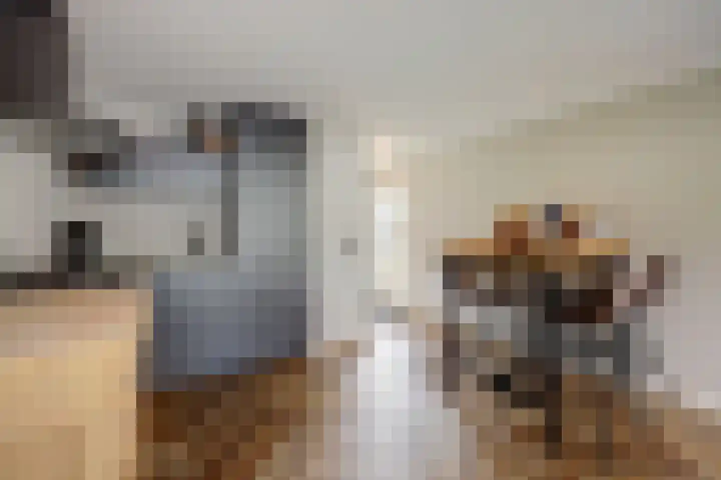 Scholtenhagenweg 30 H74 Haaksbergen thumbnail 13