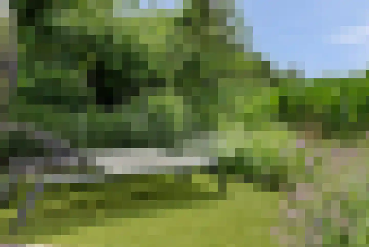 Scholtenhagenweg 30 H74 Haaksbergen thumbnail 27