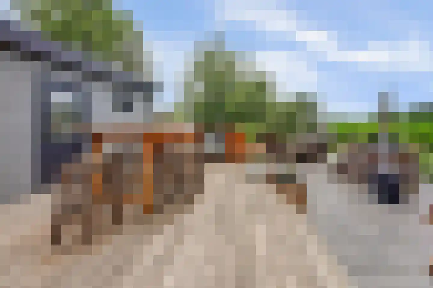 Scholtenhagenweg 30 H74 Haaksbergen thumbnail 29