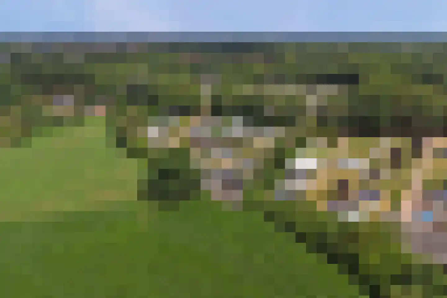 Scholtenhagenweg 30 H74 Haaksbergen thumbnail 32
