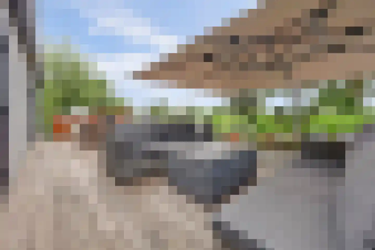 Scholtenhagenweg 30 H74 Haaksbergen thumbnail 6