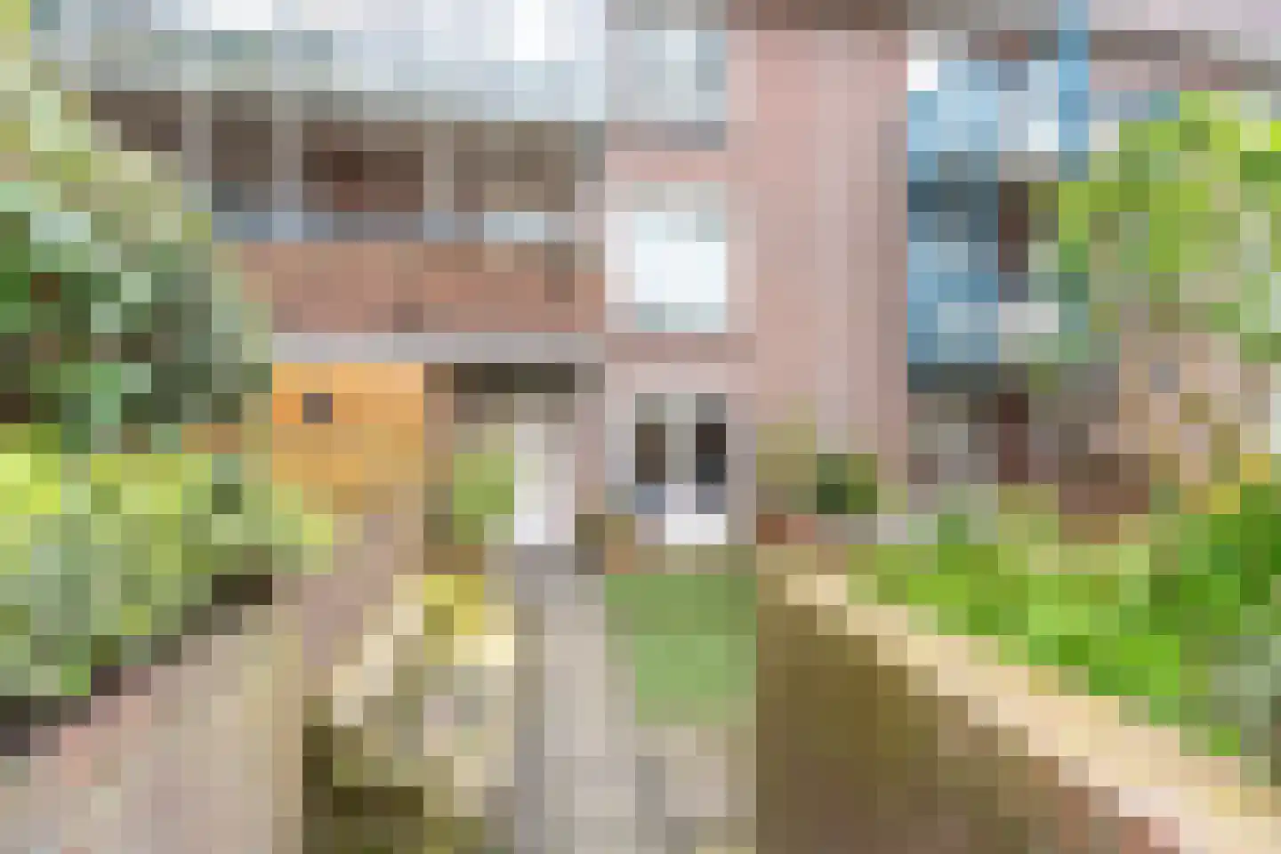 Scholtenhoeklaan 25 in Oldenzaal