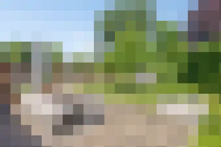 Scholtenhoeklaan 25 Oldenzaal thumbnail 27